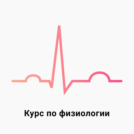 [Medforyou - школа медицины] Физиология (2023)_0.jpg